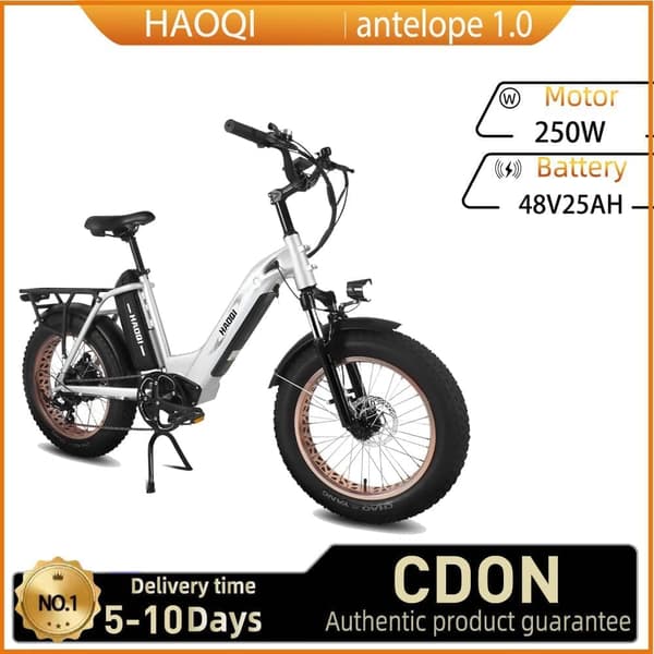 HAOQI antelope 1.0 aikuisille 250 W:n sähköpyörä kaupunkikäyttöön sekä miehille että naisille 48 V 25Ah 20 tuuman paksurenkainen sähköpyörä