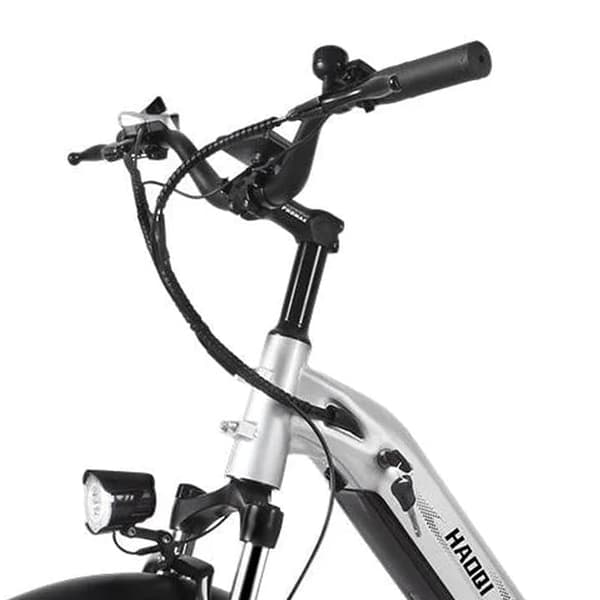 HAOQI Antelope 1.0 Elcykel För Vuxna 250W48V25Ah Elcykel 20” Däck Elcykel Maximal räckvidd är 140 kilometer