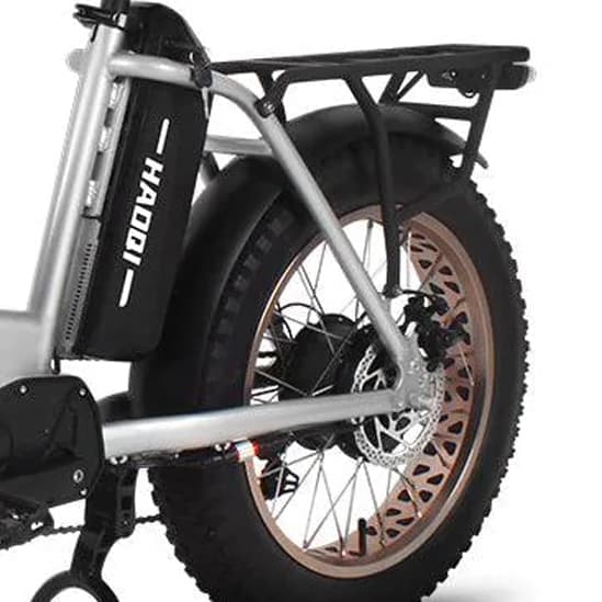HAOQI Antelope 1.0 Elcykel För Vuxna 250W48V25Ah Elcykel 20” Däck Elcykel Maximal räckvidd är 140 kilometer