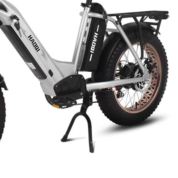 HAOQI Antelope 1.0 Elcykel För Vuxna 250W48V25Ah Elcykel 20” Däck Elcykel Maximal räckvidd är 140 kilometer