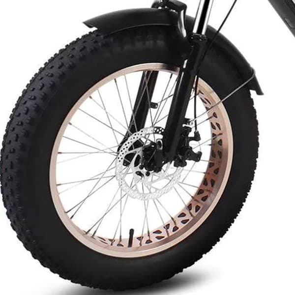 HAOQI Antelope 1.0 Elcykel För Vuxna 250W48V25Ah Elcykel 20” Däck Elcykel Maximal räckvidd är 140 kilometer