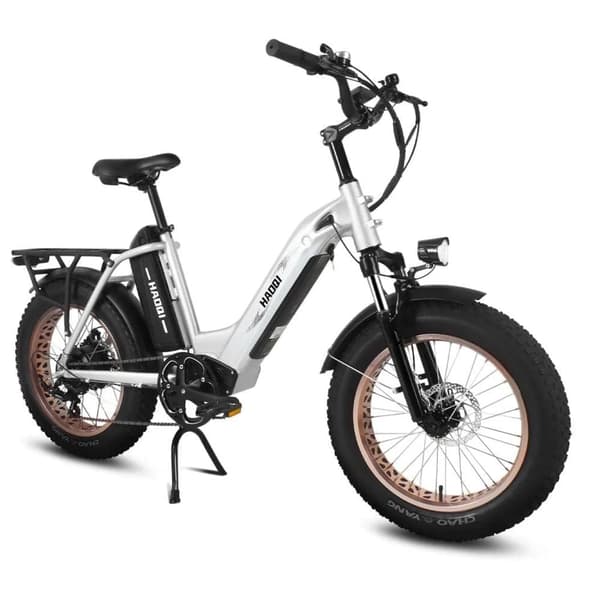 HAOQI Antelope 1.0 Elcykel För Vuxna 250W48V25Ah Elcykel 20” Däck Elcykel Maximal räckvidd är 140 kilometer