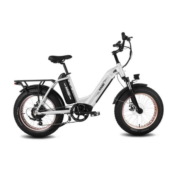 HAOQI Antelope 1.0 Elcykel För Vuxna 250W48V25Ah Elcykel 20” Däck Elcykel Maximal räckvidd är 140 kilometer
