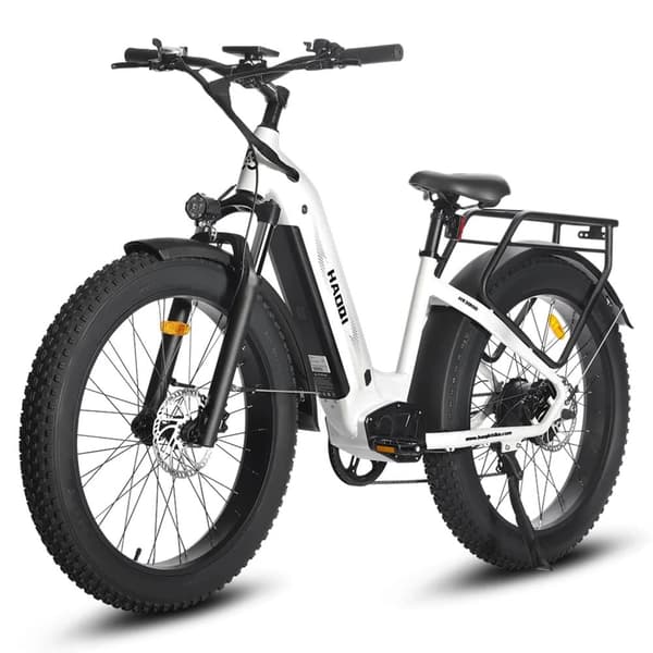 HAOQI Eagle1.0 Elcykel För Vuxna 250W48V15Ah Elcykel 20” Däck Elcykel Maximal Räckvidd Är 110 Kilometer