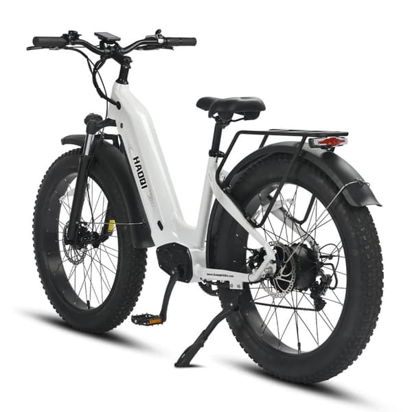 HAOQI Eagle1.0 Elcykel För Vuxna 250W48V15Ah Elcykel 20” Däck Elcykel Maximal Räckvidd Är 110 Kilometer