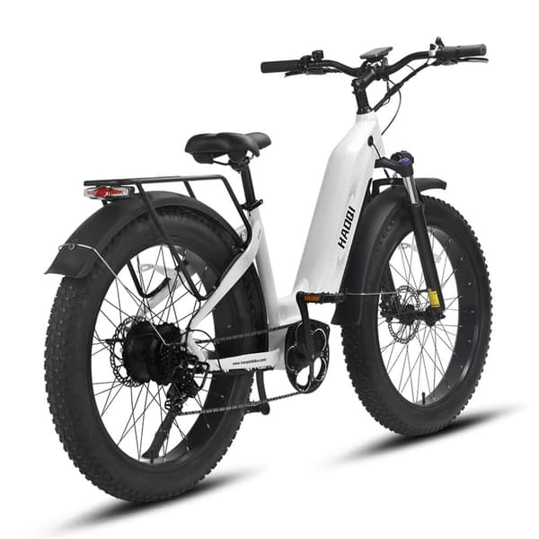 HAOQI Eagle1.0 Elcykel För Vuxna 250W48V15Ah Elcykel 20” Däck Elcykel Maximal Räckvidd Är 110 Kilometer