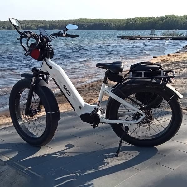 HAOQI Eagle1.0 Elcykel För Vuxna 250W48V15Ah Elcykel 20” Däck Elcykel Maximal Räckvidd Är 110 Kilometer