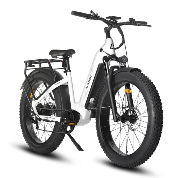 HAOQI Eagle1.0 Elcykel För Vuxna 250W48V15Ah Elcykel 20” Däck Elcykel Maximal Räckvidd Är 110 Kilometer