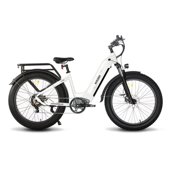 HAOQI Eagle1.0 Elcykel För Vuxna 250W48V15Ah Elcykel 20” Däck Elcykel Maximal Räckvidd Är 110 Kilometer