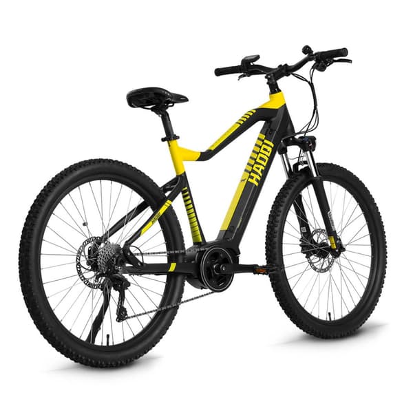 HAOQI Cheetah5 Elcykel För Vuxna 250W48V15Ah Elcykel 20” Däck Elcykel LCD Elcykel Displayskärm