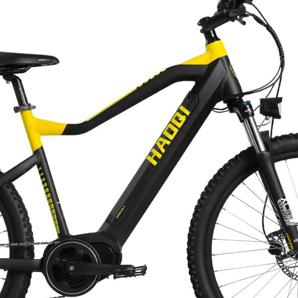 HAOQI Cheetah5 Elcykel För Vuxna 250W48V15Ah Elcykel 20” Däck Elcykel LCD Elcykel Displayskärm