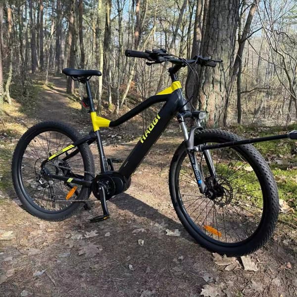 HAOQI Cheetah5 Elcykel För Vuxna 250W48V15Ah Elcykel 20” Däck Elcykel LCD Elcykel Displayskärm