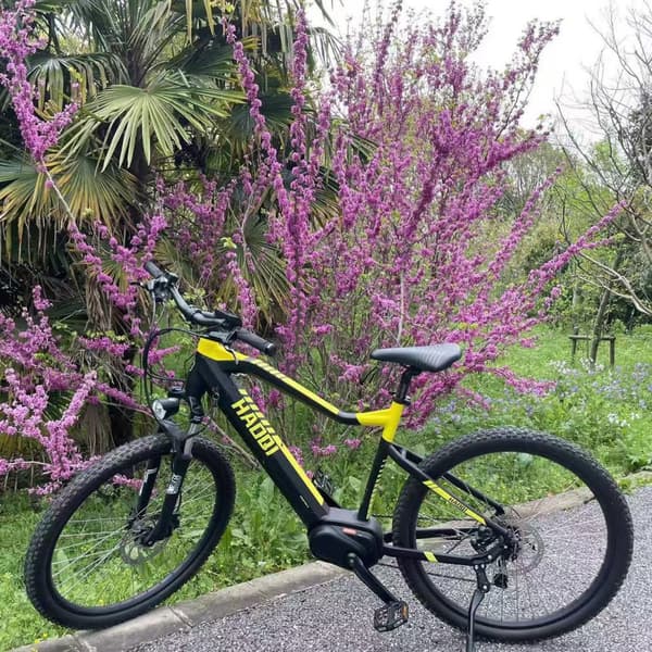HAOQI Cheetah5 Elcykel För Vuxna 250W48V15Ah Elcykel 20” Däck Elcykel LCD Elcykel Displayskärm