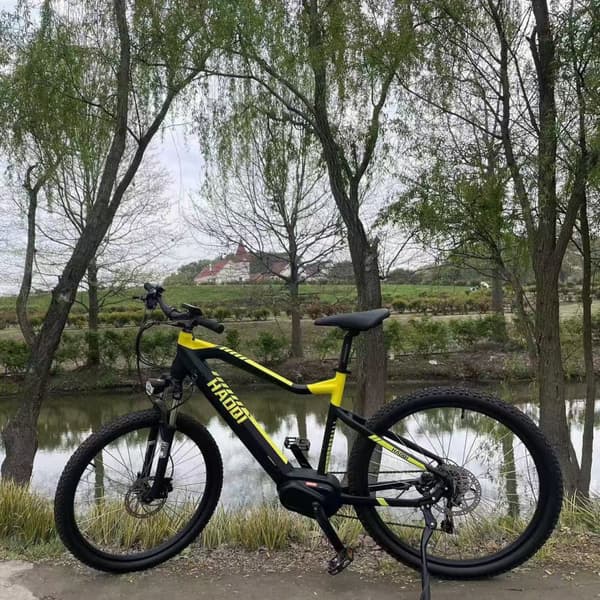 HAOQI Cheetah5 Elcykel För Vuxna 250W48V15Ah Elcykel 20” Däck Elcykel LCD Elcykel Displayskärm