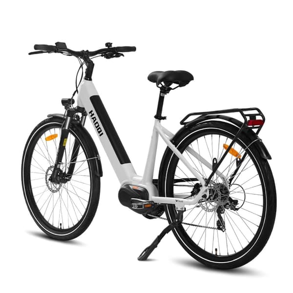 HAOQI Falke Elcykel För Vuxna 250W48V14Ah Elcykel Elcykel Topphastighet 25 Kilometer Per Timme