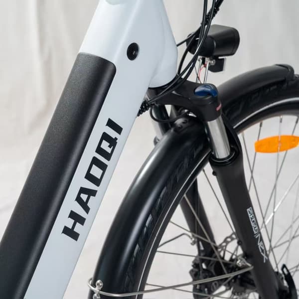 HAOQI Falke Elcykel För Vuxna 250W48V14Ah Elcykel Elcykel Topphastighet 25 Kilometer Per Timme