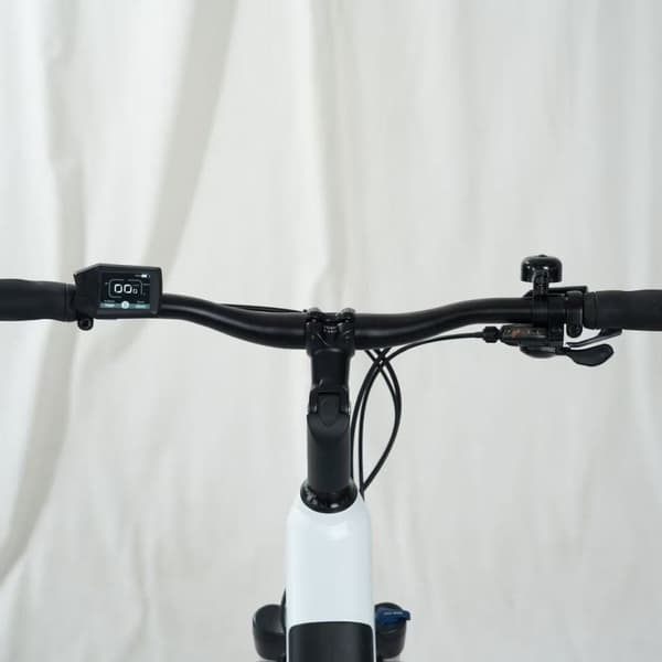 HAOQI Falke Elcykel För Vuxna 250W48V14Ah Elcykel Elcykel Topphastighet 25 Kilometer Per Timme