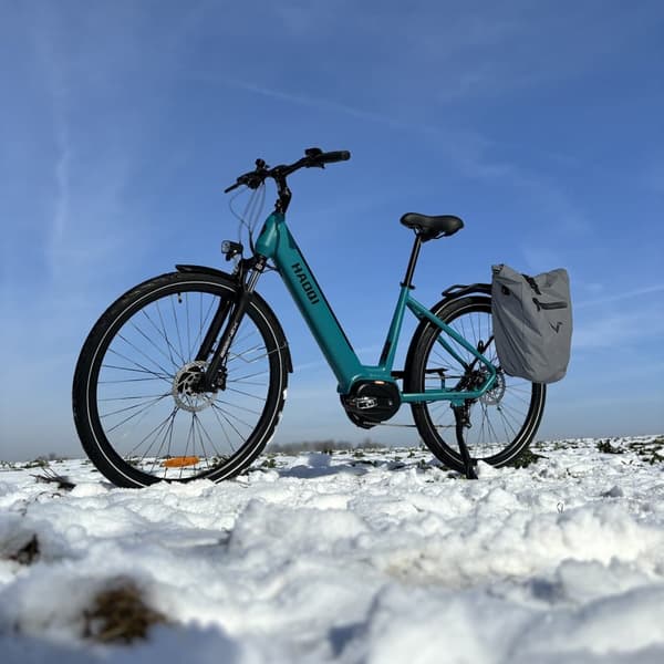 HAOQI Falke Elcykel För Vuxna 250W48V14Ah Elcykel Elcykel Topphastighet 25 Kilometer Per Timme