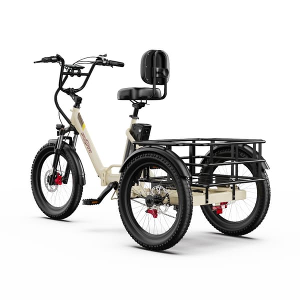 ONESPORT OT30 Pro Eltrehjuling för vuxna 500W 48V18AH Eltrehjuling för last 20” Däck Stad Eltrehjuling för last Stadspendling
