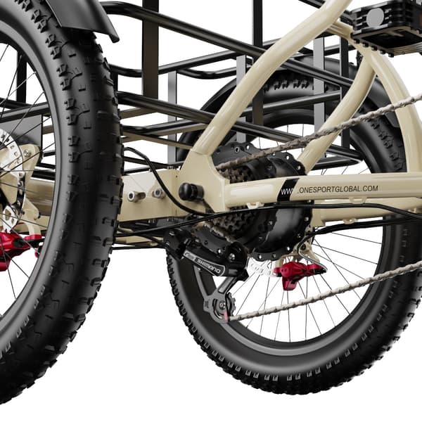 ONESPORT OT30 Pro Elektrisk Trehjuling 500W 48V18AH Elektrisk Lasttrehjuling 20” Däck Ellasttrehjuling Förarhöjder 160–200 cm