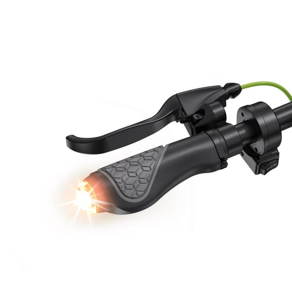 Future S10 Plus (ABE) Elscooter 10-tums däck Elscooter 500W motor Stadspendling 36V 15AH Elscooter