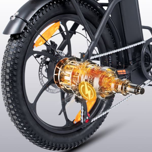 Cheevalry C16 Elcykel 250W 48V16AH Batteri 20-tums Däck El Mountainbike Elcykel för Vuxna Laddningstid 6-7 timmar