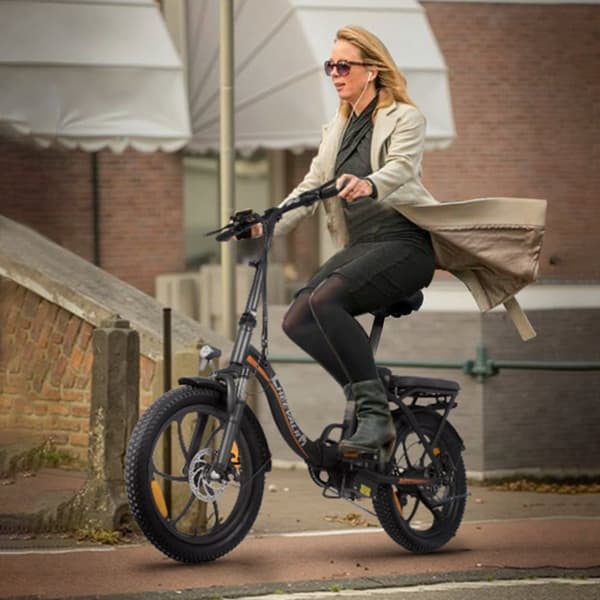 Cheevalry C16 Elcykel 250W 48V16AH Batteri 20-tums Däck El Mountainbike Elcykel för Vuxna Laddningstid 6-7 timmar