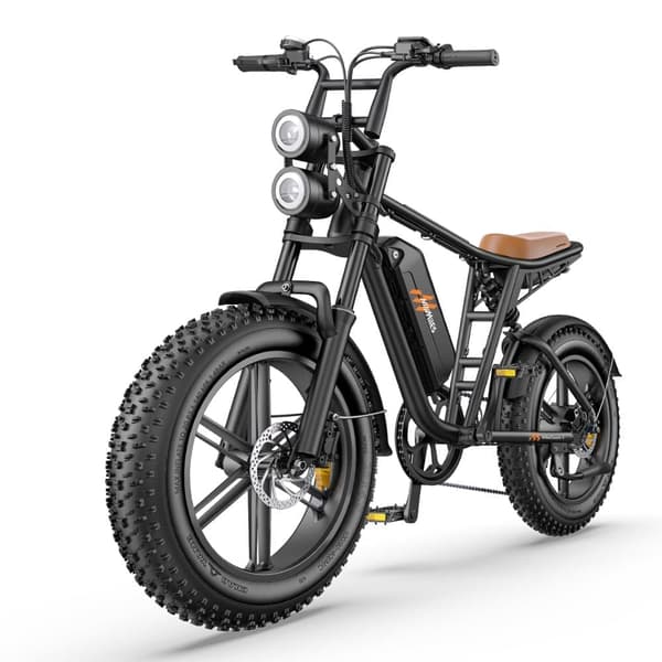 HillMiles MileZoom1 Elcykel för vuxna 750W motor Elcykel 52V15.6AH batteri Elcykel 20 tums feta däck El-mountainbike