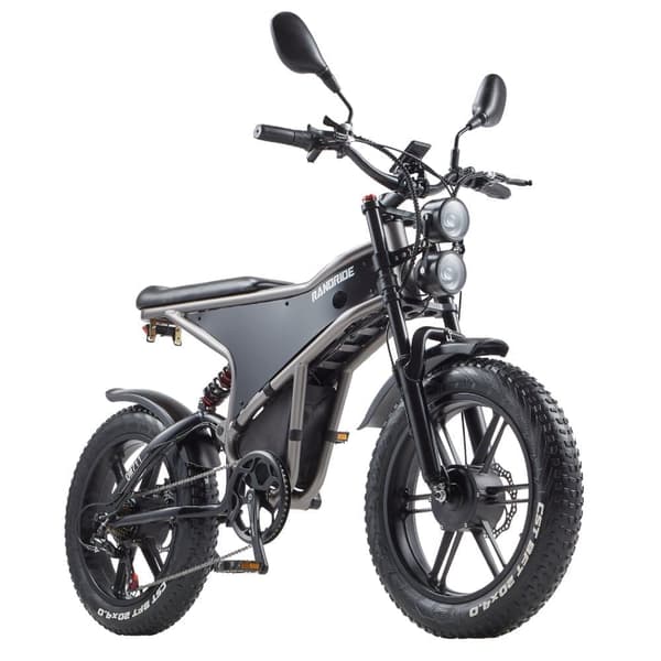 RANDRIDE DM711 Elcykel Dubbelmotor 500W*2 48V20Ah Batteri 20 Tum 4.0 Breda Däck Vuxen Elcykel