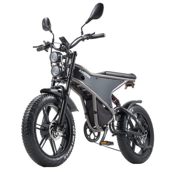 RANDRIDE DM711 Elcykel Dubbelmotor 500W*2 48V20Ah Batteri 20 Tum 4.0 Breda Däck Vuxen Elcykel