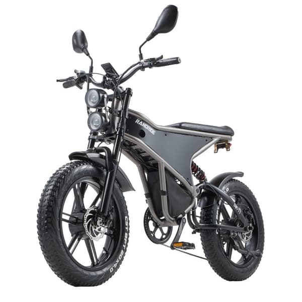 RANDRIDE DM711 Elcykel Dubbelmotor 500W*2 48V20Ah Batteri 20 Tum 4.0 Breda Däck Vuxen Elcykel