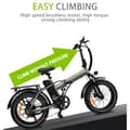 Miniatyrbild 8 av 11: Baolujie DZ-2031, 48V13AH batteri off-road elcykel 750W motor 20 tum däck all terräng elcykel