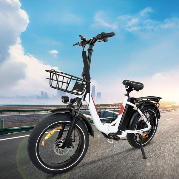 BAOLUJIE DZ2030 sähköpyörä 48V 13AH akku 500W kaksoismoottori 20 tuuman renkaat 90-100KM Max Mileage 120KG Max kuormitus sähköpyörä