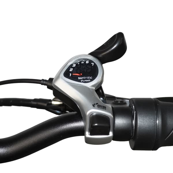 BAOLUJIE DZ-2031 Elcykel för vuxna 500W motor Elcykel 48V13AH 20” däck Stadspendling Elcykel