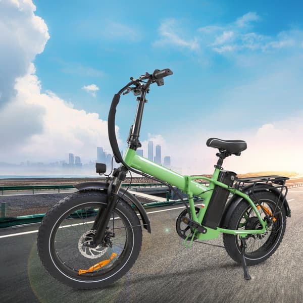 BAOLUJIE DZ-2031 Elcykel för vuxna 500W motor Elcykel 48V13AH 20” däck Stadspendling Elcykel
