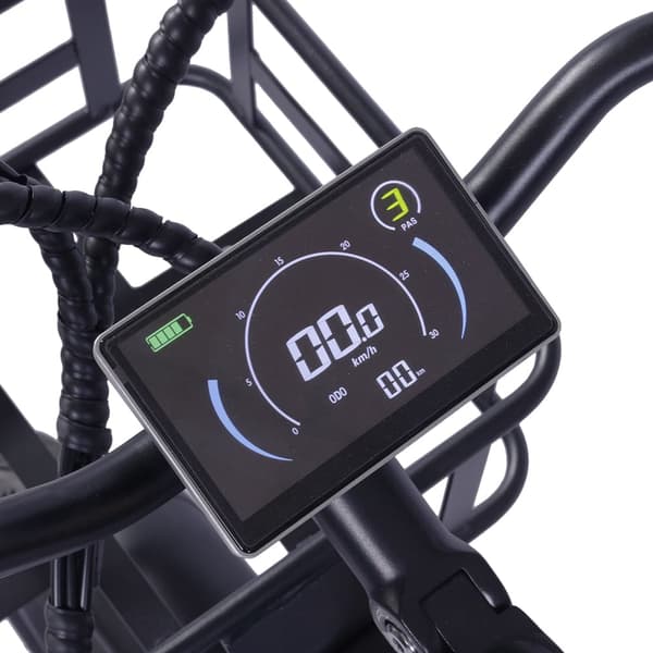 GOGOBEST GF200 Elcykel för vuxna 500W 48V15.6Ah Elcykel 20” Elcykel med feta däck, hydraulisk skivbroms