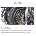 Pikkukuva 9 / 11: JOBOBIKE Romer X sähköpyörä, paksurenkainen, taittuva runko, 250 W, 48 V, 10,5 Ah, kotitalouksien sähköpyörä, 20 tuuman sähköpyörä