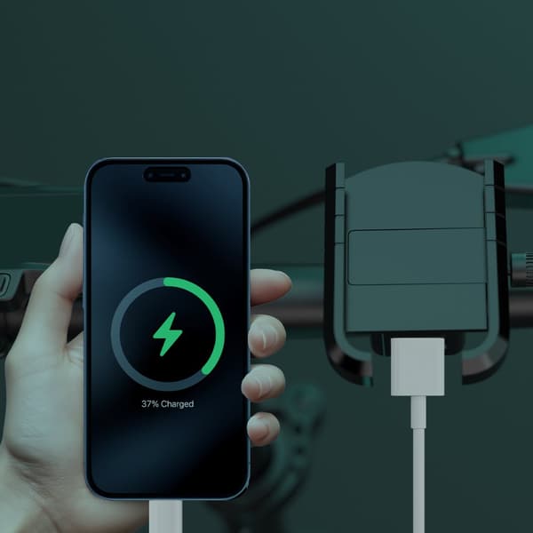 ESKUTE F100 Kaupunkien työmatkapyörä 250W Taittuva sähköpyörä 36V9AH Aikuisille Sähköpyörä