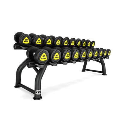 10 Pair Horizontal Dumbbell Rack