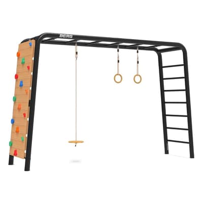 PlayBase Large TL (Disc Swing + Rings + Climbing Wall)