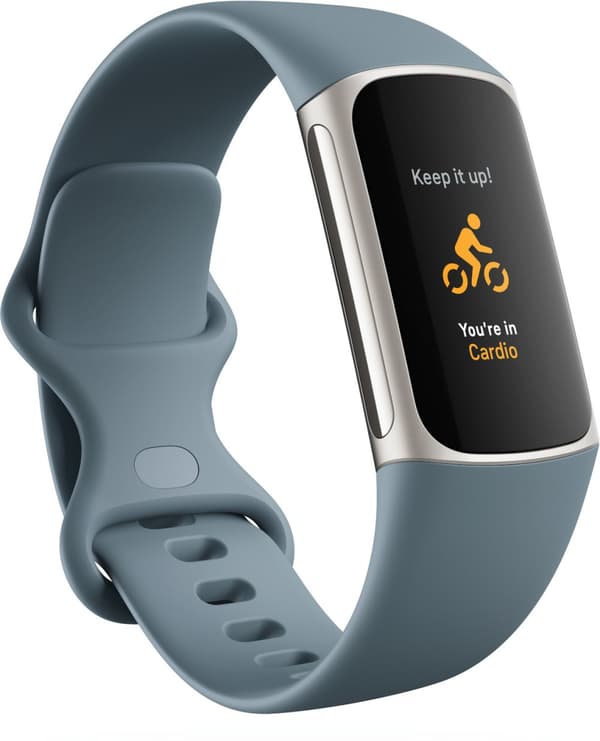 Fitbit Charge 5, steel blue/platinum