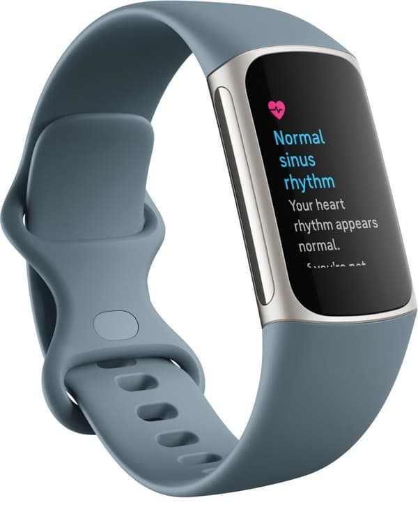 Fitbit Charge 5, steel blue/platinum