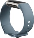 Miniatyrbillede 9 af 11: Fitbit Charge 5, steel blue/platinum