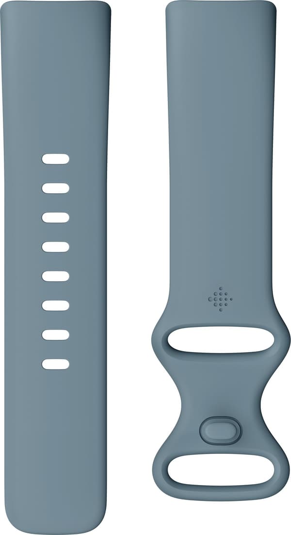 Fitbit Charge 5, steel blue/platinum