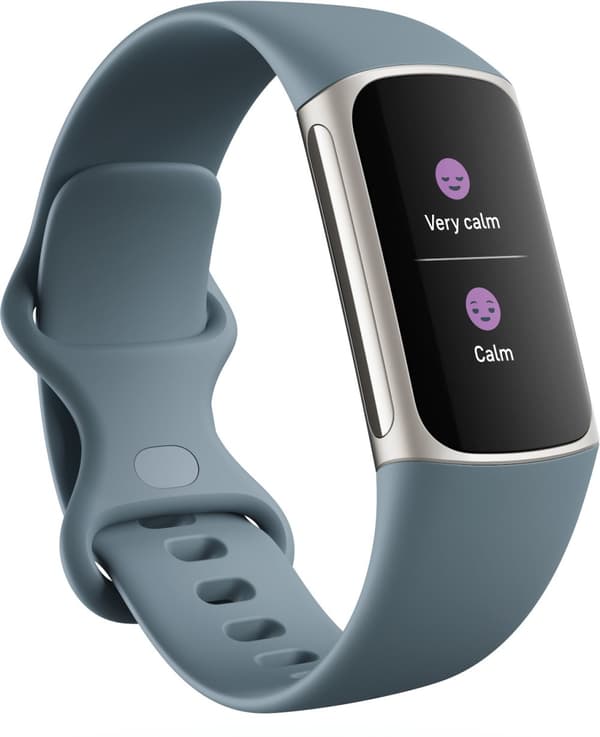 Fitbit Charge 5, steel blue/platinum