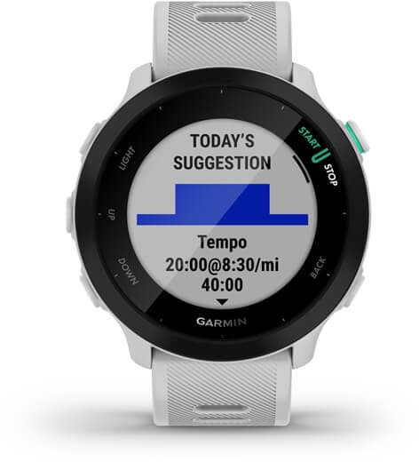 Garmin Forerunner 55 2.64 cm (1.04") MIP 42 mm Digital 208 x 208 pixels Black GPS (satellite)