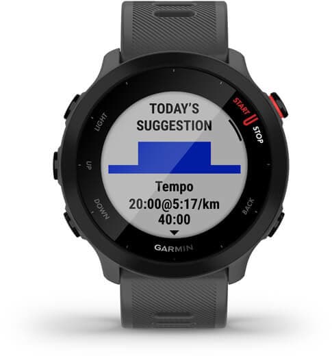 Garmin Forerunner 55 GPS, monterra grey