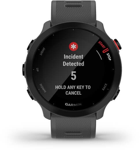 Garmin Forerunner 55 GPS, monterra grey