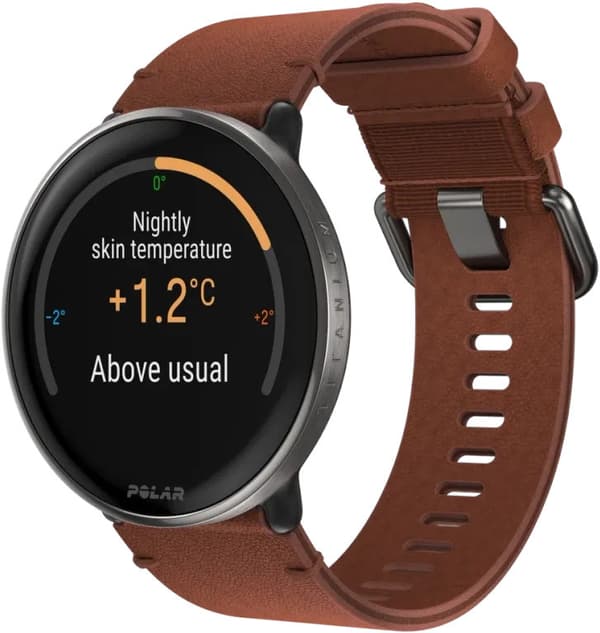 Polar Ignite 3 Titanium S-L, brown