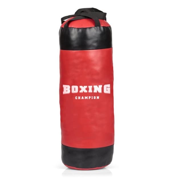 Boxing Champion